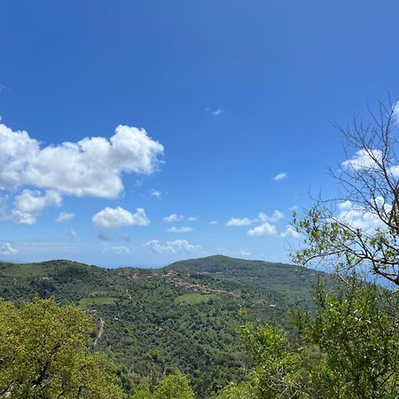 Dente Di Leone Ξενοδοχείο San Mauro Cilento Εξωτερικό φωτογραφία