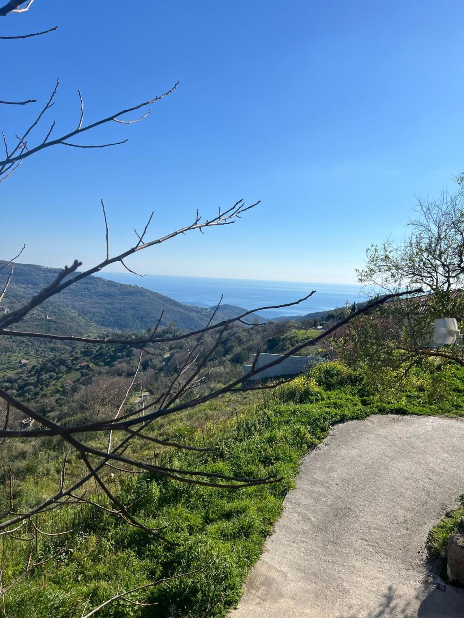 Dente Di Leone Ξενοδοχείο San Mauro Cilento Εξωτερικό φωτογραφία