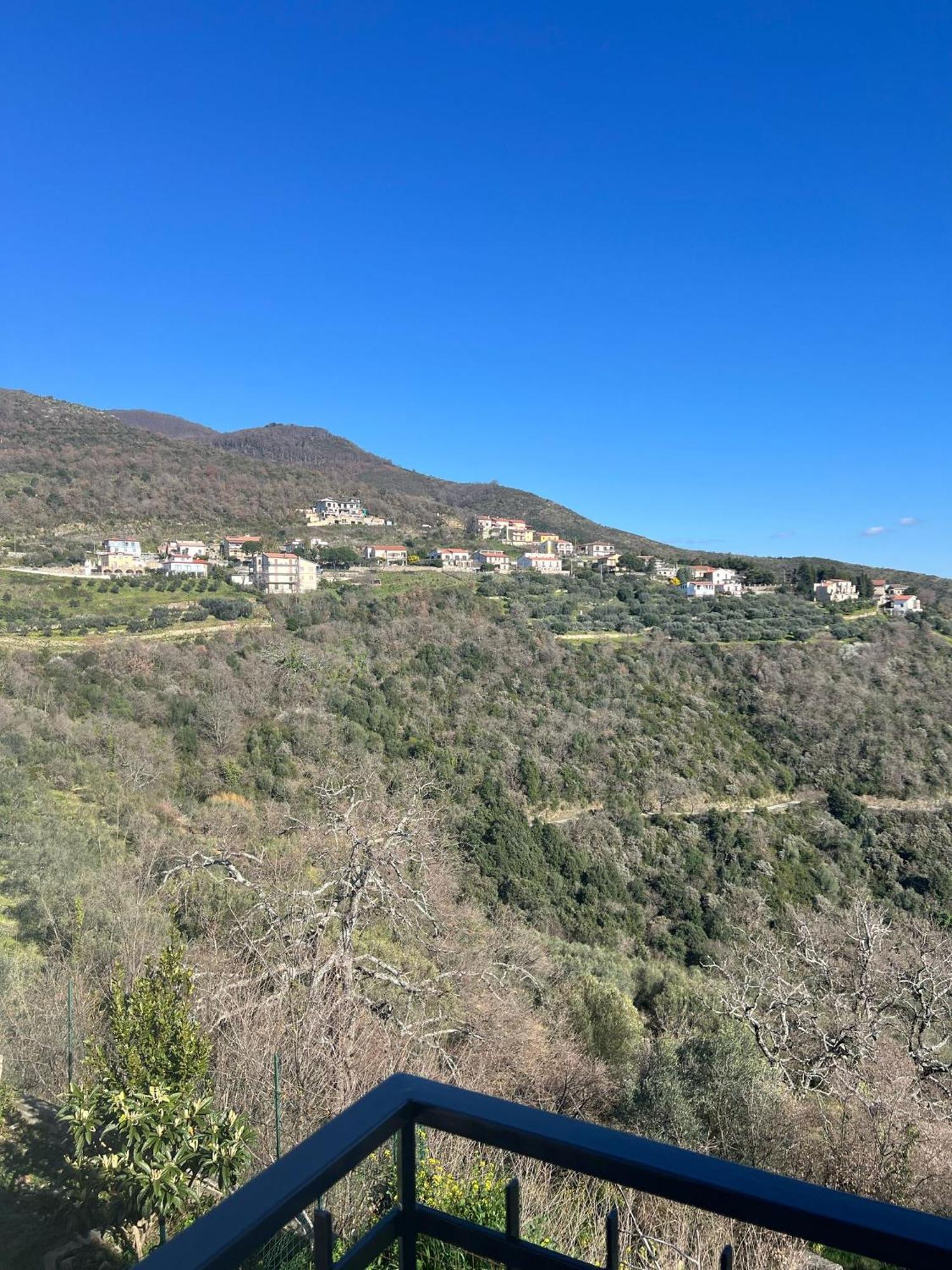 Dente Di Leone Ξενοδοχείο San Mauro Cilento Εξωτερικό φωτογραφία
